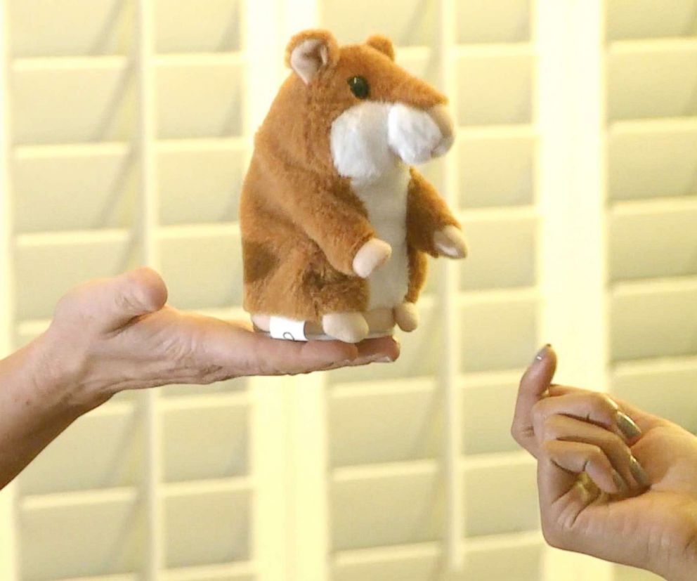 PHOTO: 
The first package the Carroll family received was a talking hamster toy at the beginning of Feb. 18. 
