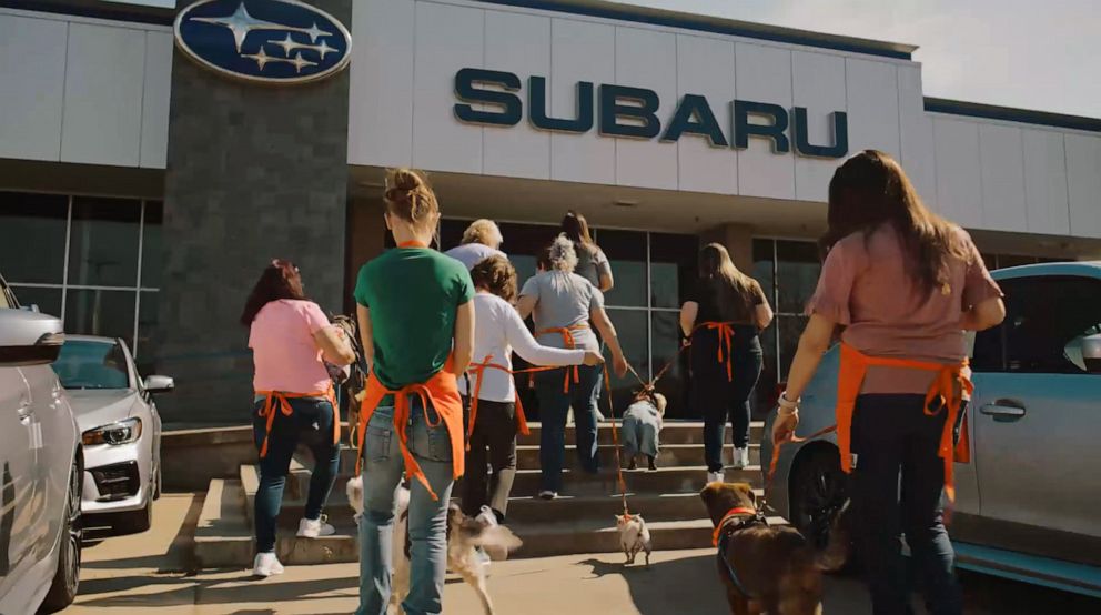 PHOTO: Subaru is the largest corporate donor to the ASPCA. The Subaru Share the Love Event has helped find homes for more than 74,000 animals across the country.