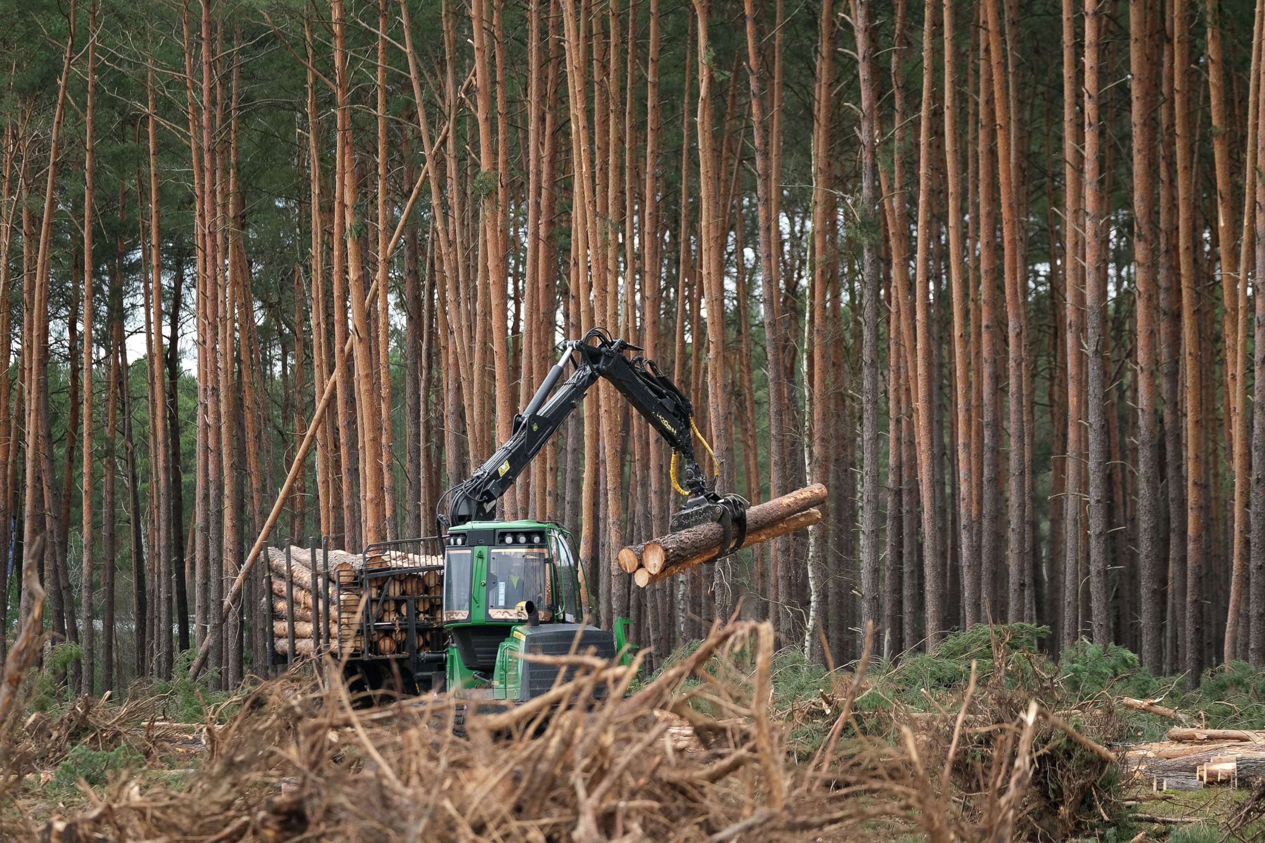 PHOTO: A forestry machine stacks logs on land cleared of trees at the site of the new Tesla Gigafactory, Feb. 17, 2020, near Gruenheide, Germany. 