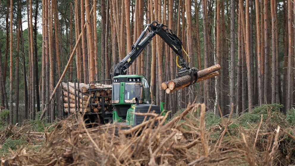 PHOTO: A forestry machine stacks logs on land cleared of trees at the site of the new Tesla Gigafactory, Feb. 17, 2020, near Gruenheide, Germany. 