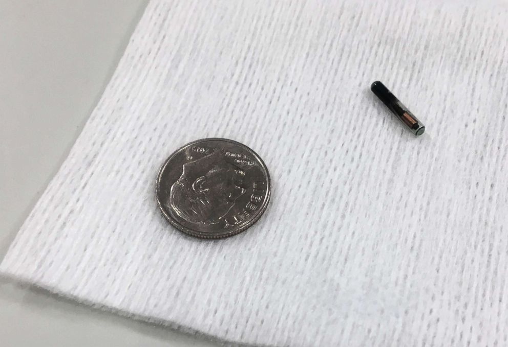 PHOTO: A microchip is shown compared with a dime, Aug. 1, 2017, at Three Square Market in River Falls, Wis. for employees who volunteer to have the microchip embedded in their hand.