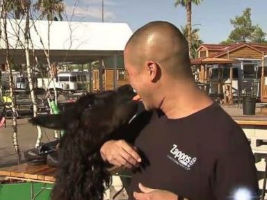 VIDEO: Billionaire CEO Lives in a Trailer, with his Alpaca Real Biz w/ Rebecca Jarvis Episode 50