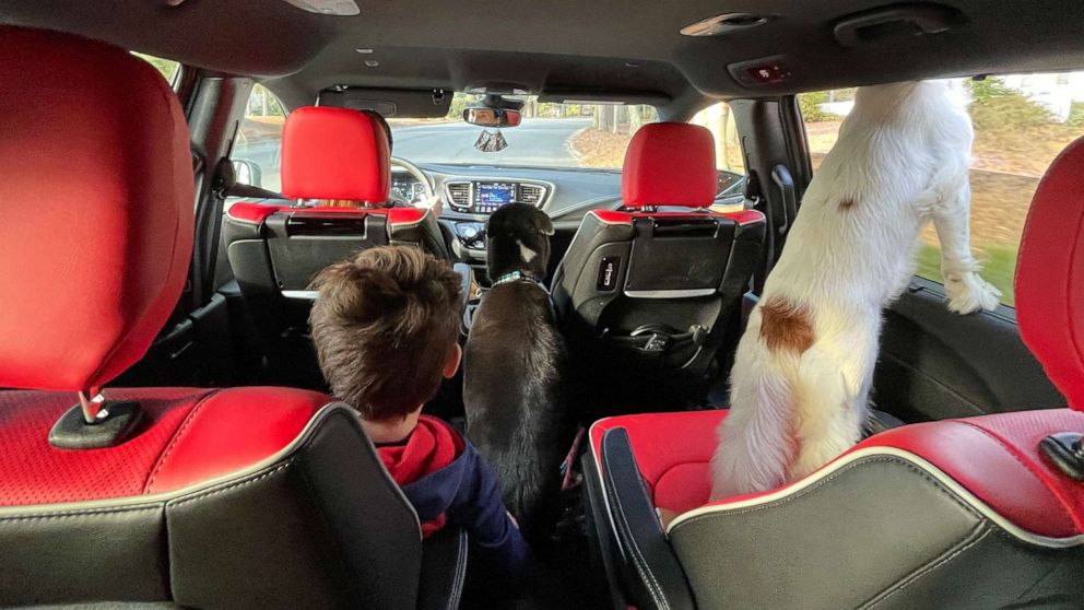 PHOTO: Ezra Dyer, a senior editor at Car and Driver, bought a Chrysler Pacifica minivan in December 2020. The whole family, including his two dogs, love it, he said.