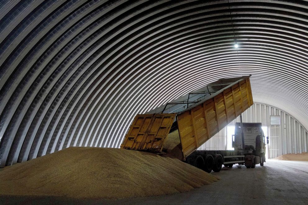 PHOTO: FILE - A dump track unloads grain in a granary in the village of Zghurivka, Ukraine, Aug. 9, 2022.