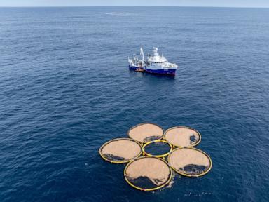 Ocean dumping – or climate solution? An industry bets on the ocean to capture carbon