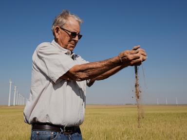 Why the Kansas Wheat Failure Signals a Permanent Shift in American Farming