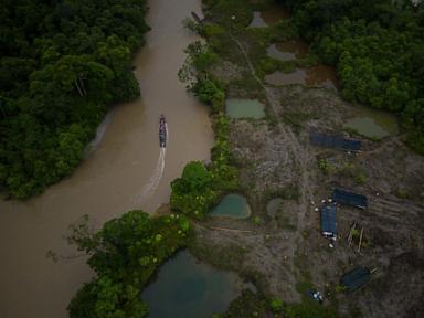 Colombia's vote may reshape the Amazon's future as political winds shift across Latin America