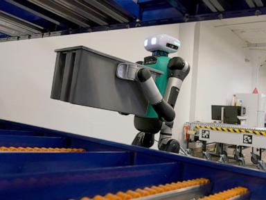 Humanoid Robotics by the Numbers: What Most People Miss