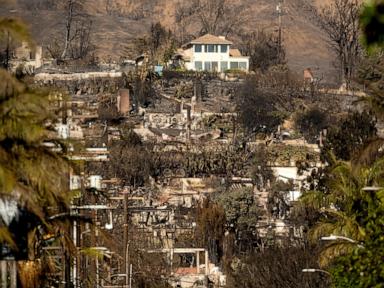 Why are lone homes left standing after the fires? It's not entirely luck