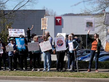 Tesla sales fall by 49% in Europe even as the electric vehicle market grows