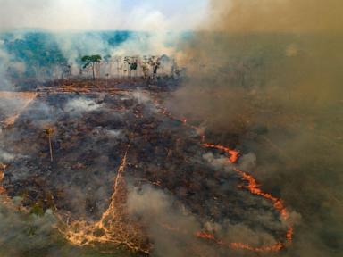 Why New Wildfire Funds Fail To Close The Global Protection Gap