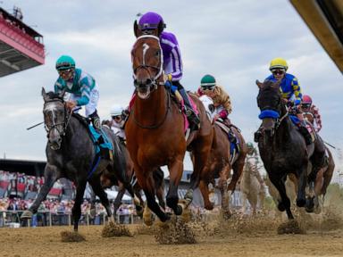 Churchill Downs Seizes the Preakness in a Power Play for Racing Supremacy