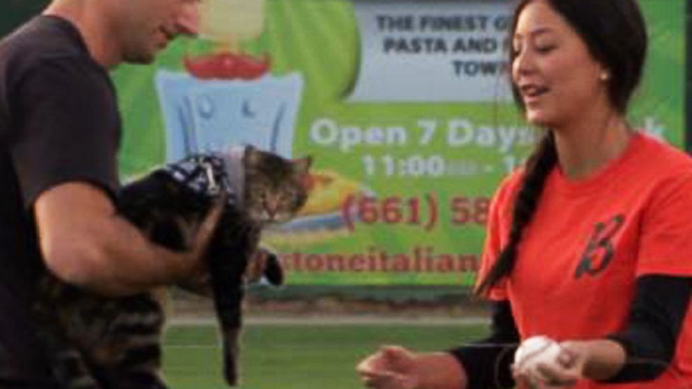 VIDEO: Cat Who Saved Boy Throws Out 1st Pitch