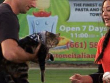 VIDEO: Cat Who Saved Boy Throws Out 1st Pitch