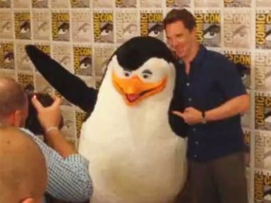 VIDEO: Benedict Cumberbatch Befriends a Penguin 