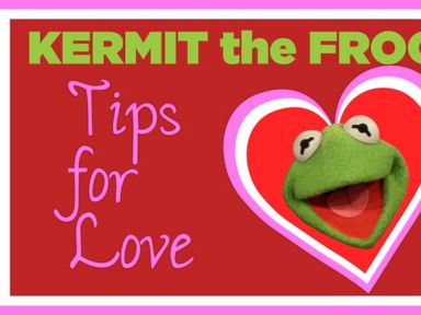 VIDEO: Kermit the Frog Gives Love Advice