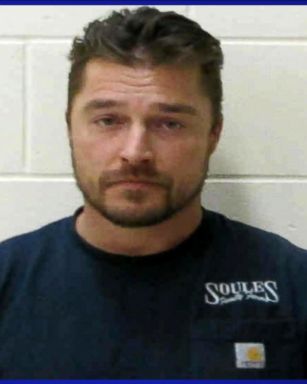 VIDEO: According to paperwork filed by the Buchanan County Sheriff's Office in Iowa, Chris Soules was taken into custody after he was involved in a fatal auto accident on Monday.