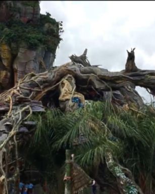 VIDEO: Disney Imagineer on Pandora -The World of Avatar