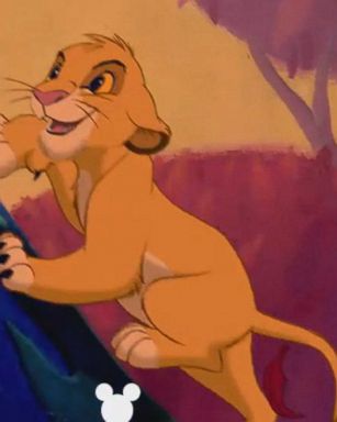 VIDEO: 'Real Live': 'The Lion King' cast revealed