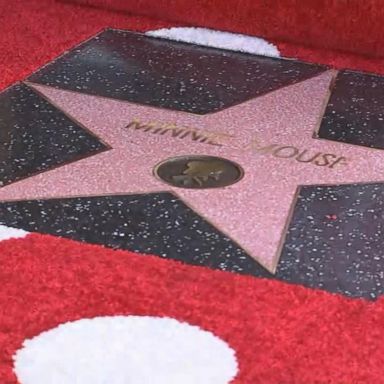 Minnie Mouse finally got her due on Monday afternoon, earning a star on the Hollywood Walk of Fame 40 years after her male counterpart, Mickey Mouse.