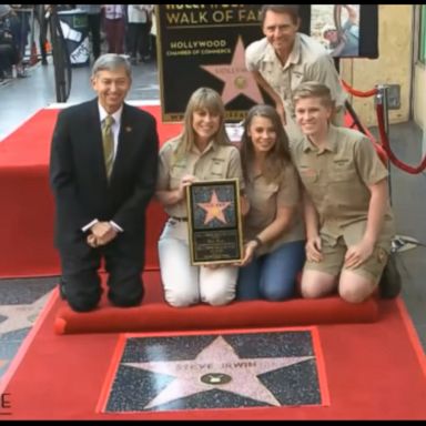 VIDEO: Twelve years after his sudden death, "Crocodile Hunter" star Steve Irwin received a star on Hollywood's Walk of Fame Thursday during an emotional ceremony.