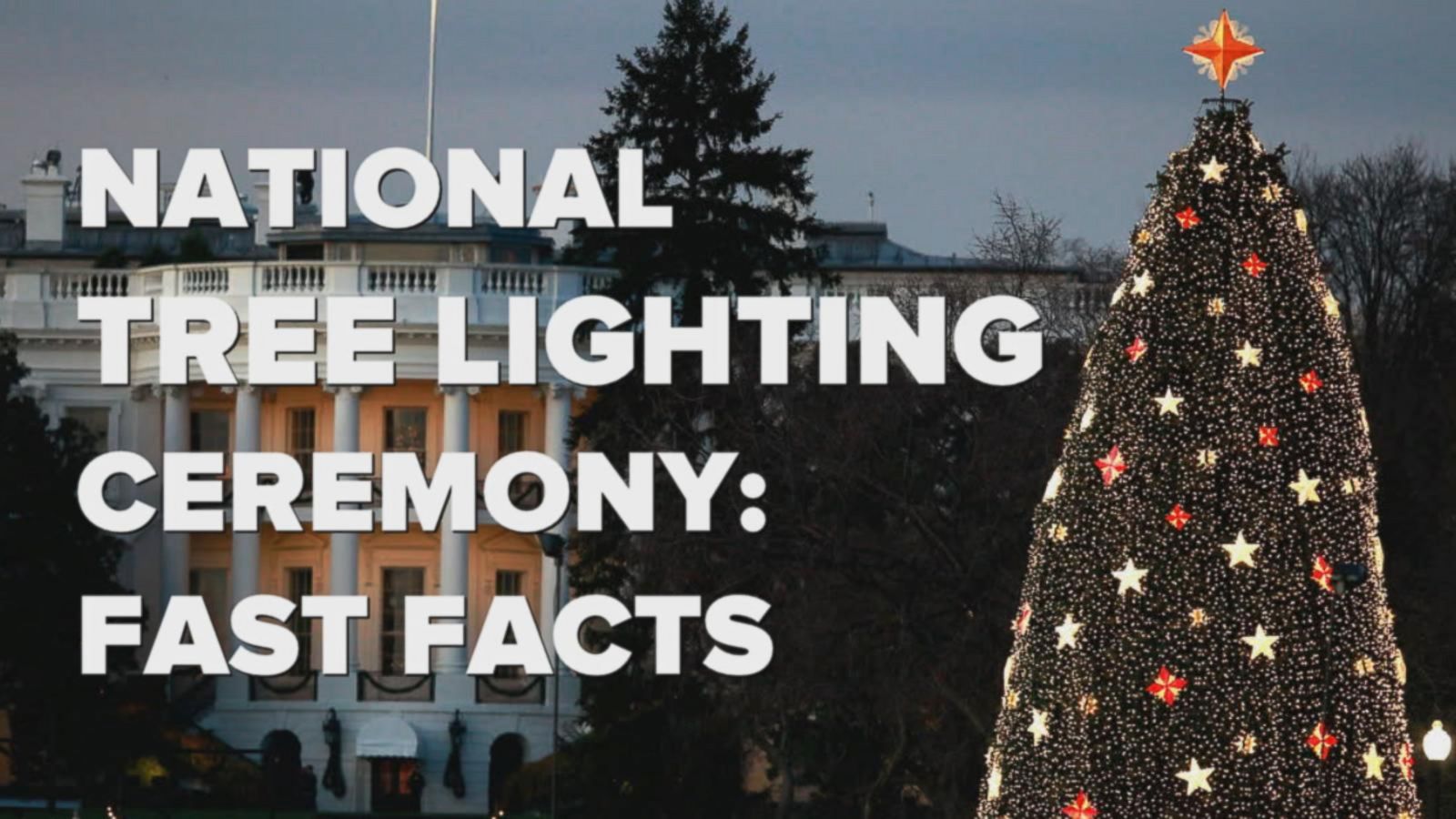 National Christmas Tree lighting Fast facts Good Morning America
