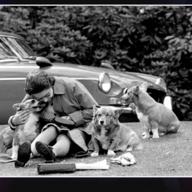 VIDEO: Queen Elizabeth II’s love for her corgis