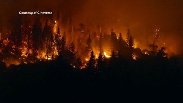 Record-breaking wildfires have occurred all over the Northern Hemisphere  during 2023, new report finds - ABC News