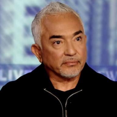 VIDEO: Cesar Millan talks about how training dogs can make us better humans