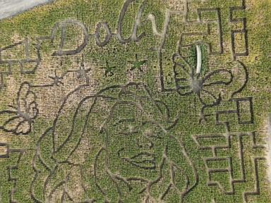 WATCH:  American farms honor Dolly Parton with themed corn maze