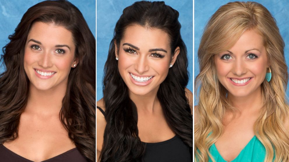 Who will be on the next season of the "Bachelor in Paradise?"