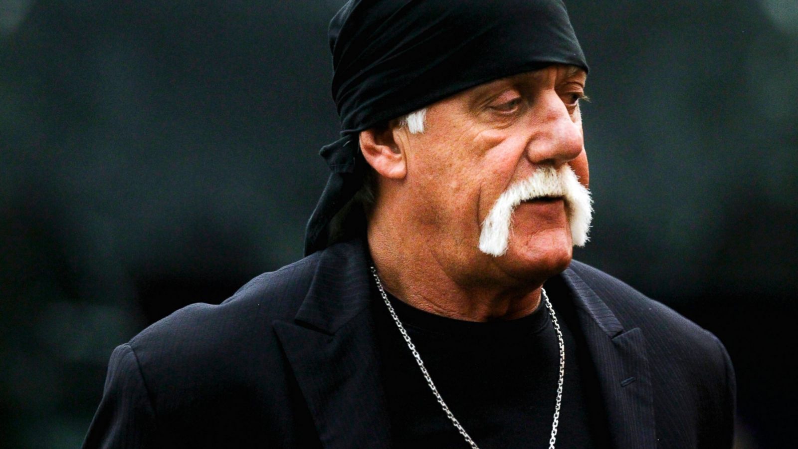 Hulk Hogan Verdict Is a Huge Win for Celebrities, Legal Expert Says photo picture