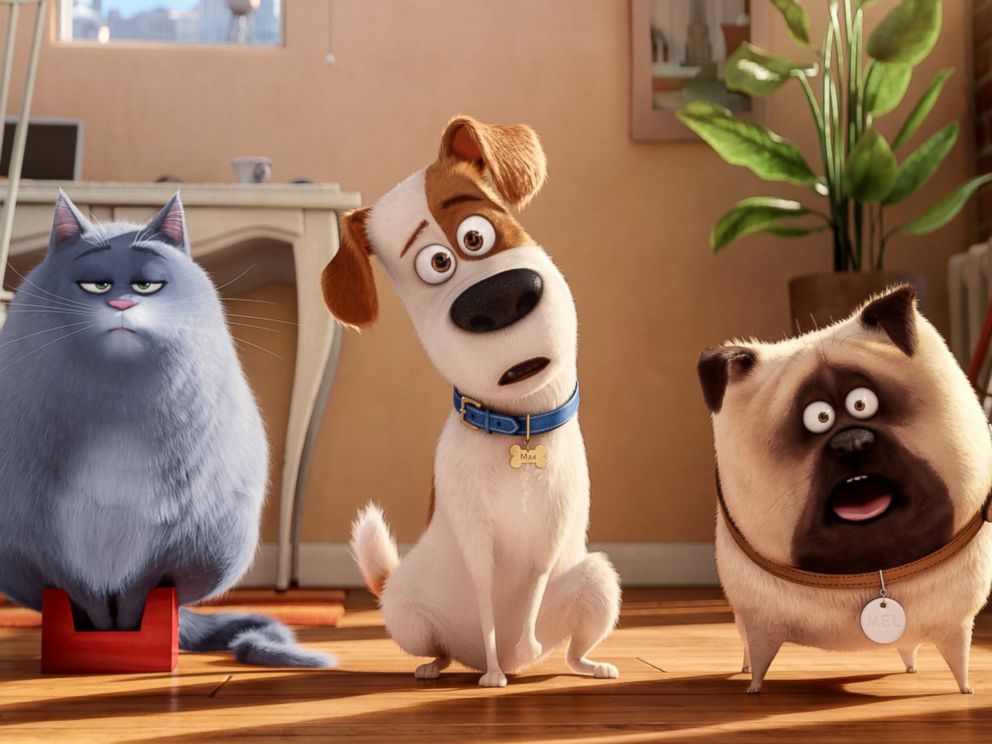 The Secret Life Of Pets Is Solid Family Fun With A Few Flaws Abc News