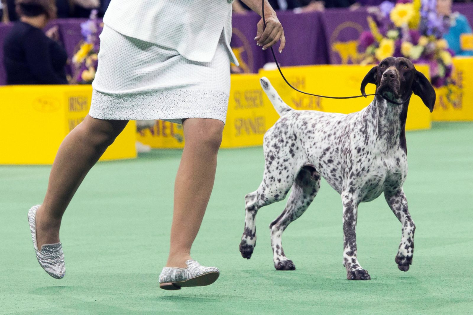 The 140th Annual Westminster Kennel Club Dog Show