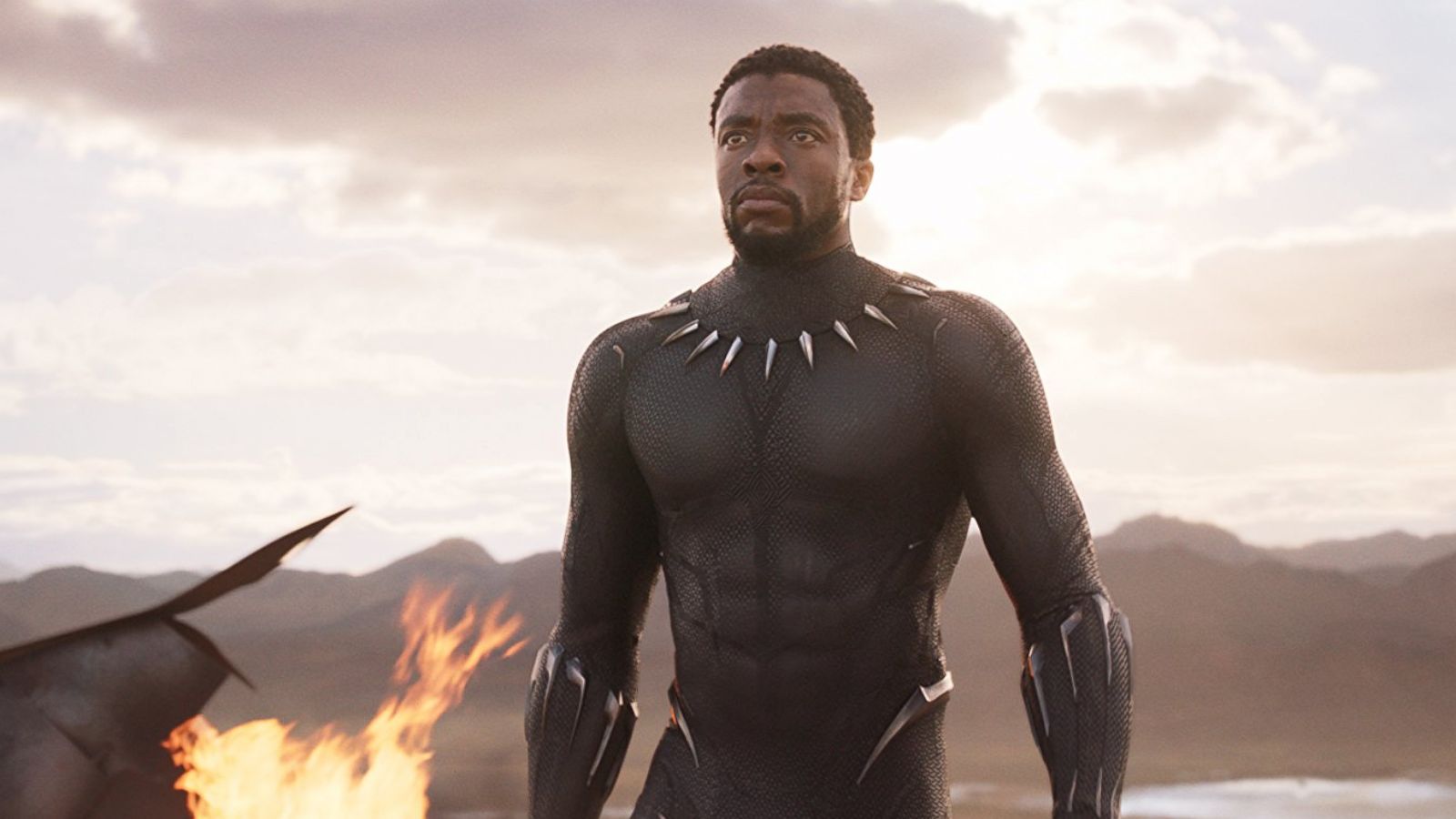 PHOTO: Chadwick Boseman in "Black Panther."