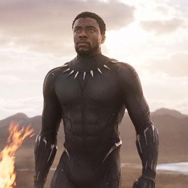 PHOTO: Chadwick Boseman in Black Panther (2018).