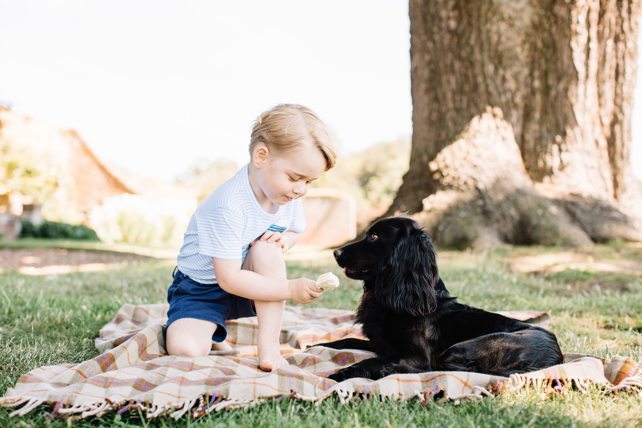 PHOTO: Britain's Prince George is seen in this photograph taken at his home in Norfolk in mid-July, and released by the Duke and Duchess of Cambridge to mark his third birthday, July 22, 2016.