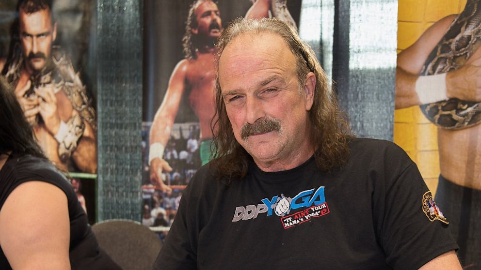 Jake "The Snake" Roberts attends the 2013 Chicago Comic and Entertainment Expo at McCormick Place on April 26, 2013 in Chicago. 
