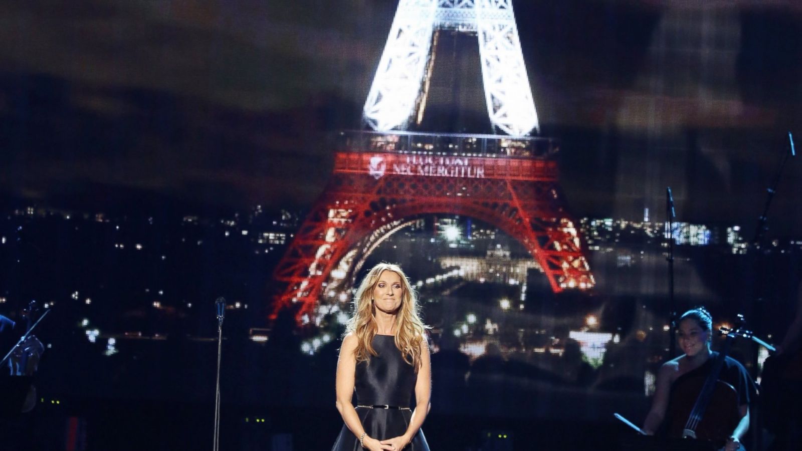 Celine Dion Delivers Touching Paris Tribute at 2015 AMAs