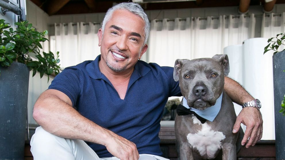 Dog behaviorist Cesar Millan attends the celebration for Season 2 of "Cesar 911" on Nat Geo Wild at SkyBar at the Mondrian Los Angeles, March 13, 2015, in West Hollywood, Calif.