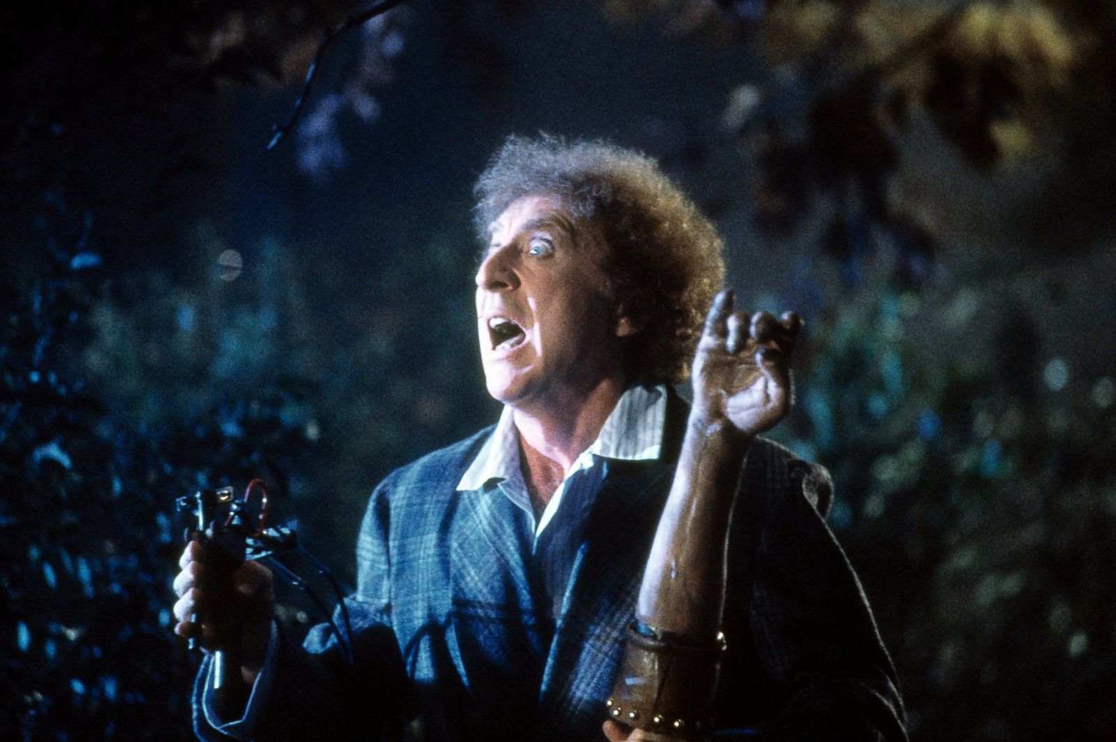 Gene Wilder Doctor Who