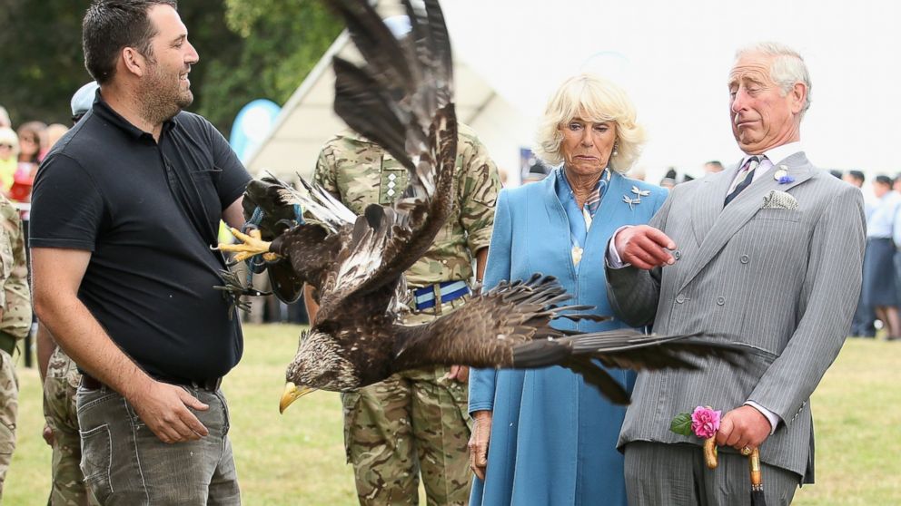Prince Charles, Prince of Wales and Camilla, Duchess of Cornwall are pictured looking at Zephyr the Bald Eagle, with his handler Andy, on July 29, 2015 in King's Lynn, England.

