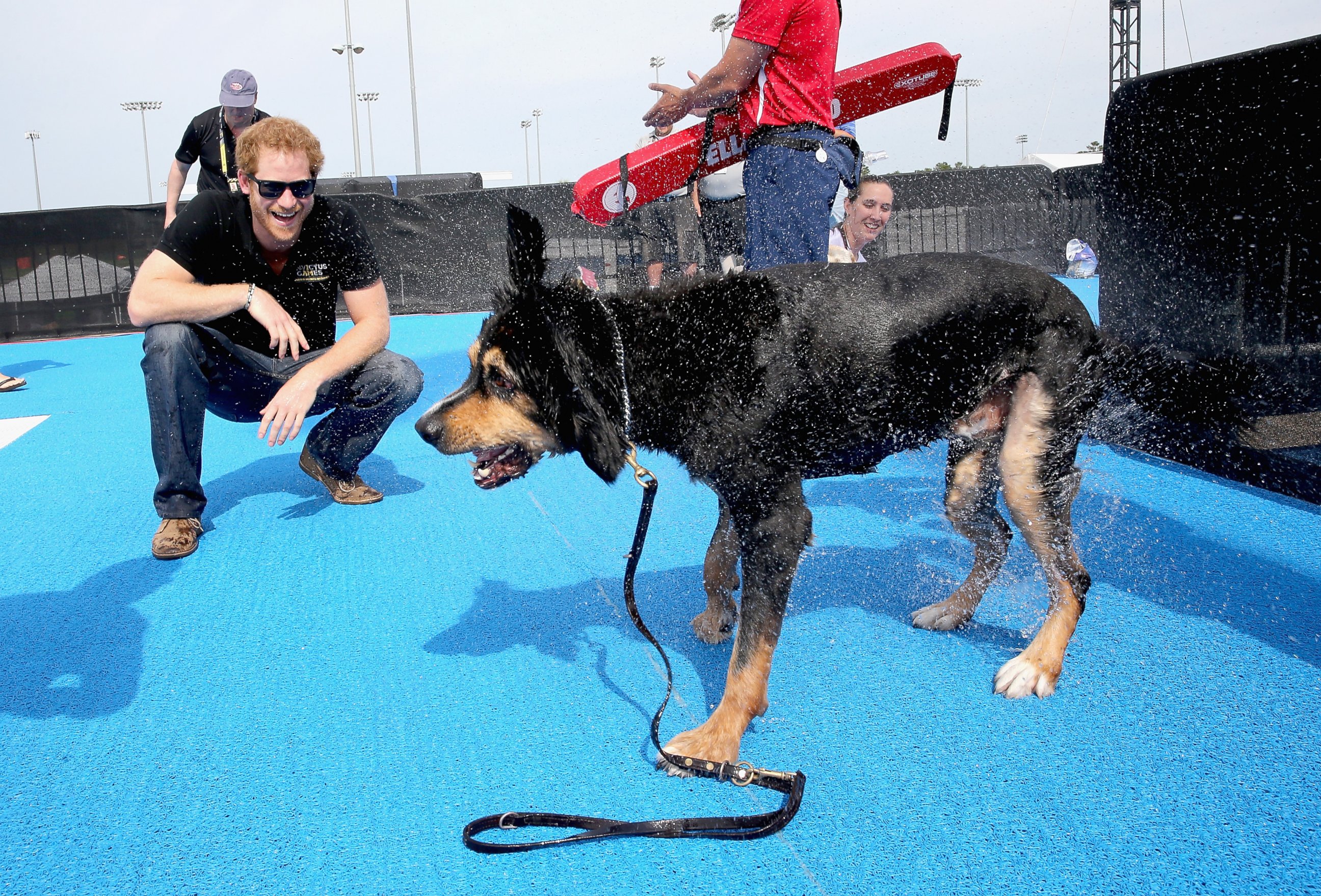PHOTO:Prince Harry helps a service dog out from the pool as they take part in a race in the pool with their Invictus competitor handlers on the final day of the Invictus Games Orlando 2016 at ESPN Wide World of Sports, May 12, 2016, in Orlando, Fla.  