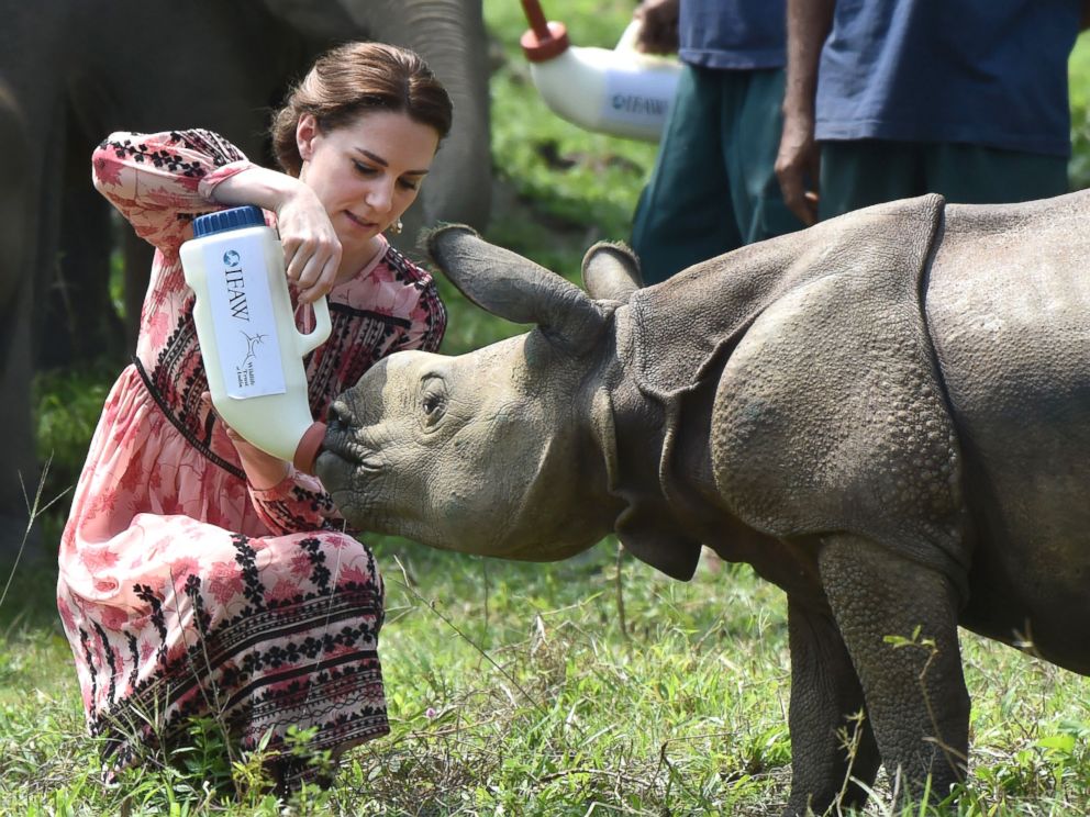 PHOTO:Catherine, Duchess of Cambridge visits the Centre for Wildlife Rehabilitation and Conservation at Kaziranga National Park, April 13, 2016, in Guwahati, India. 