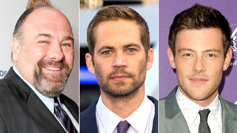 James Gandolfini, Paul Walker and Cory Monteith have all passed away in 2013.
