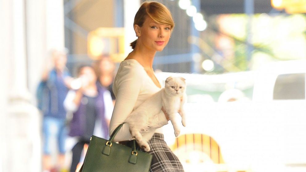 PHOTO: Taylor Swift and her kitten, Olivia Benson, are seen on Sept. 16, 2014 in New York City. 