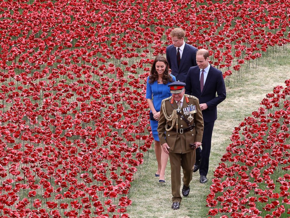 PHOTO: General The Lord Dannatt gives Prince Harry, Catherine, Duchess of Cambridge and Prince William, Duke of Cambridge a tour as they attend the ceramic poppy field of remembrance at Tower of London in London, England, August 5, 2014.