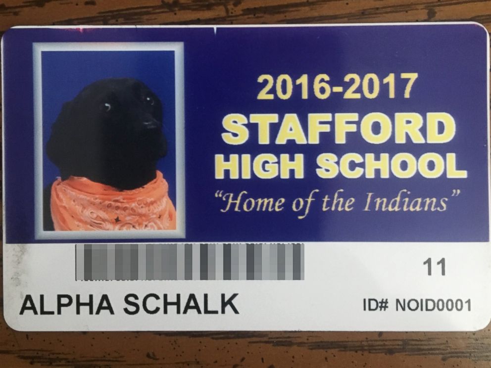 PHOTO: AJ Schalk, a junior at Stafford High School in Fredericksburg, Va., attends school with his service dog, Alpha.