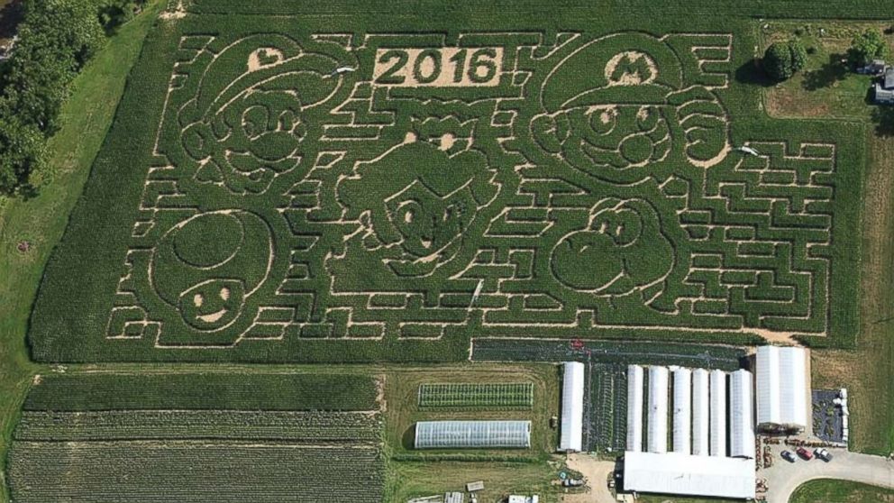 Stoughton Farm in Newark Valley, New York, created an eight-acre Super Mario Bros. corn maze.