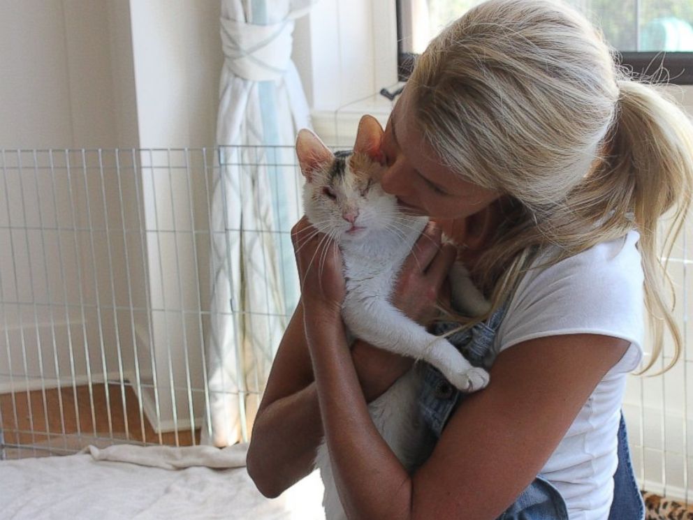PHOTO: Bella, a blind foster cat cared for by Beth Stern.